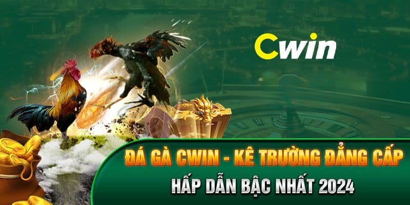 Đá gà Cwin | Sân chơi chọi gà hàng đầu thu gọn trong màn hình